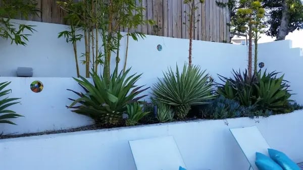 2355e-20160203_142302 COMPRESSED