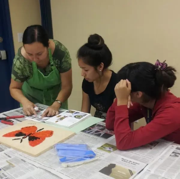 8f67a-luz-class-3 COMPRESSED